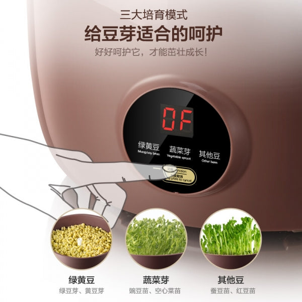 【BEAR DYJ-B01C1】家用全自动豆芽机|紫砂陶机体