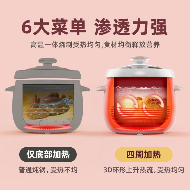 TIANJI DSG-TZ30] Electric Stew Pot, 3.0 Liter