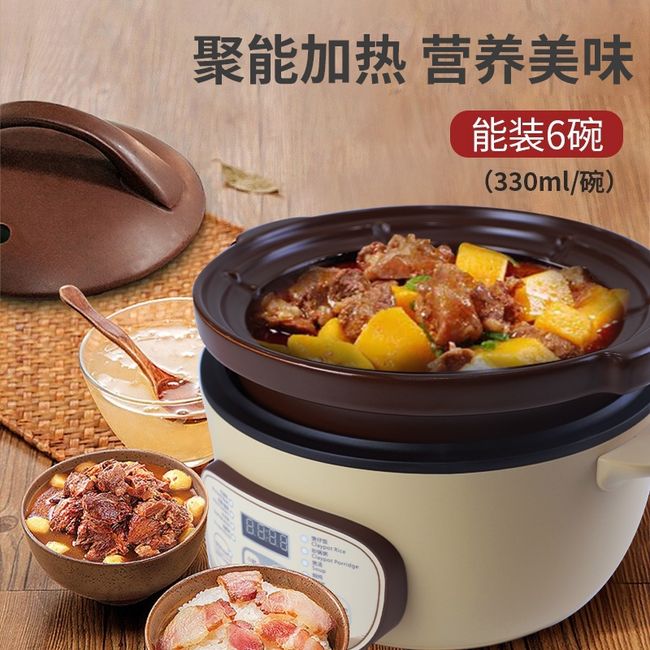 [TIANJI DSG-TZ30] Marmite électrique | 3,0 litres | Pot intérieur en argile violette